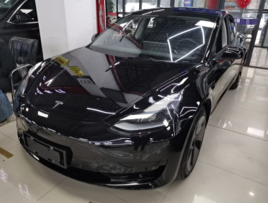 Tesla Model 3 2023 Tesla Model 3 2023 car image