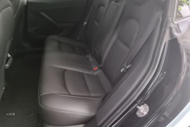 Tesla Model 3 2021 car image #19