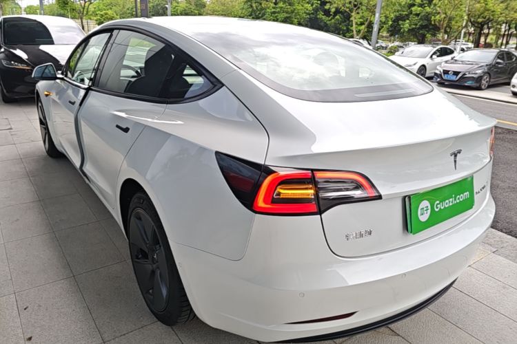 Tesla Model 3 2021 #5 Tesla Model 3 2021 car image #5