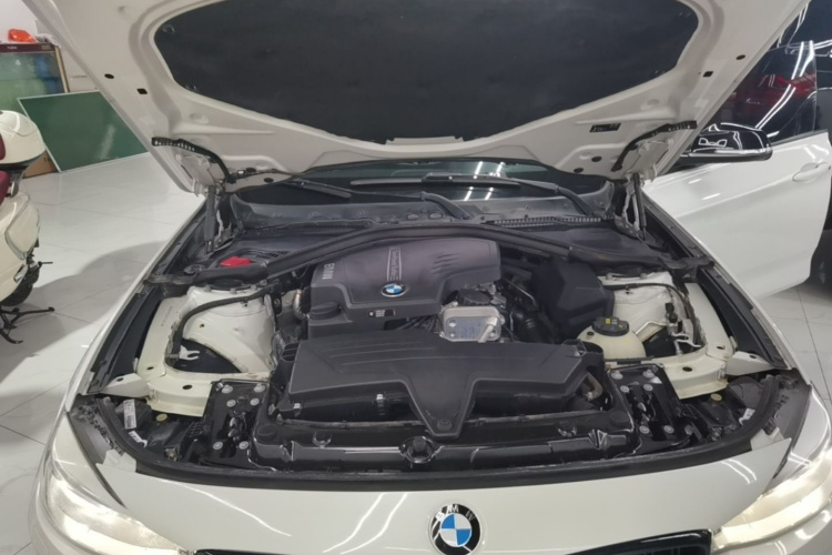 BMW 3 Series GT 2016 car image #22