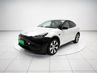 Tesla Model Y 2022 Tesla Model Y 2022 car image
