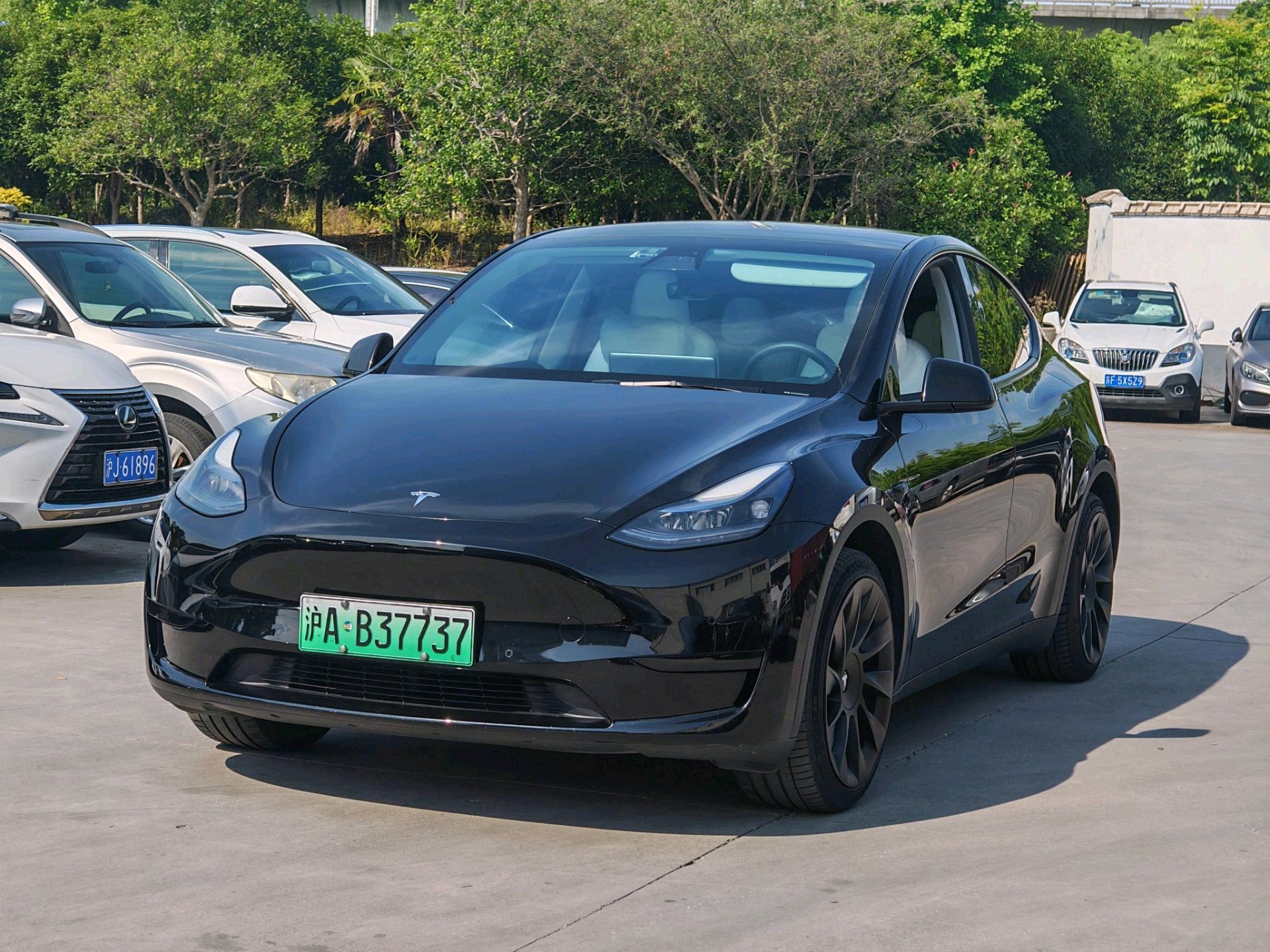 Tesla Model Y 2022 immagine di auto 