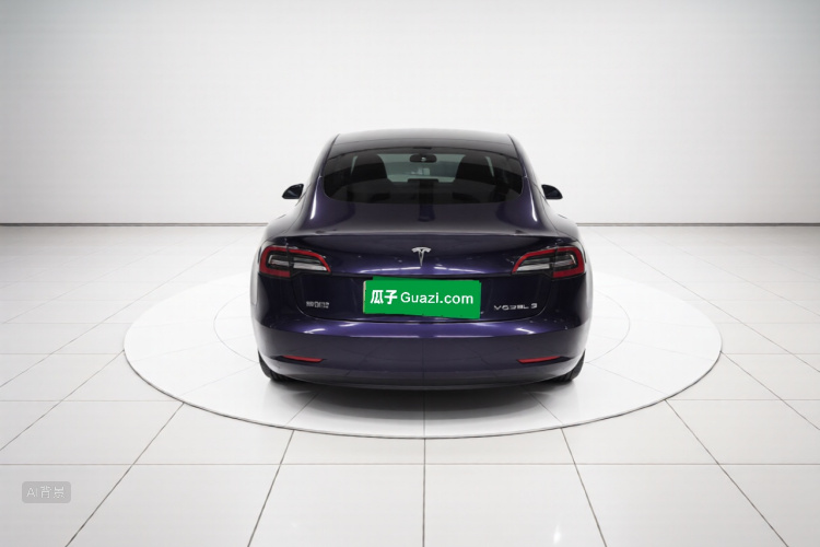 Tesla Model 3 2021 car image #6