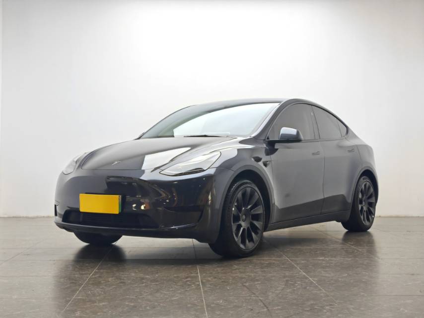 Tesla Model Y 2024 car image 