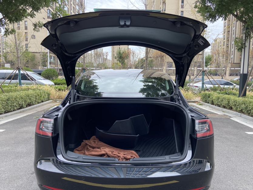 Tesla Model 3 2022 imagem de carro #18