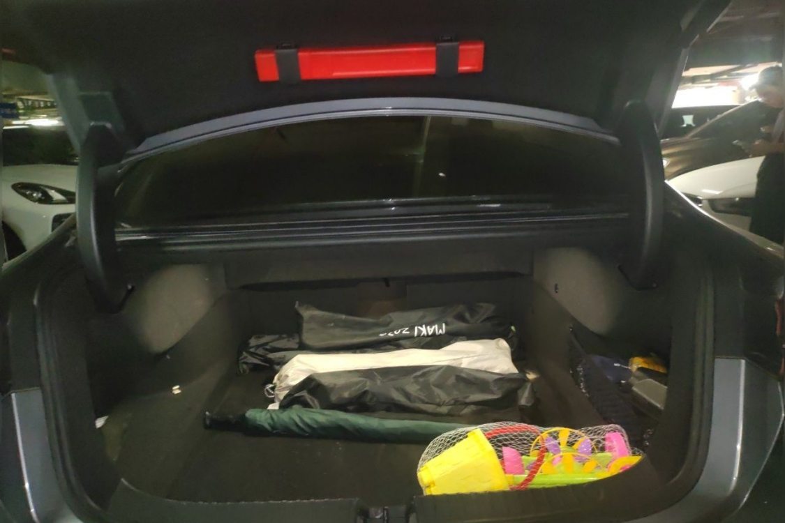 BYD Han 2021 #8 BYD Han 2021 imagen de coche #8