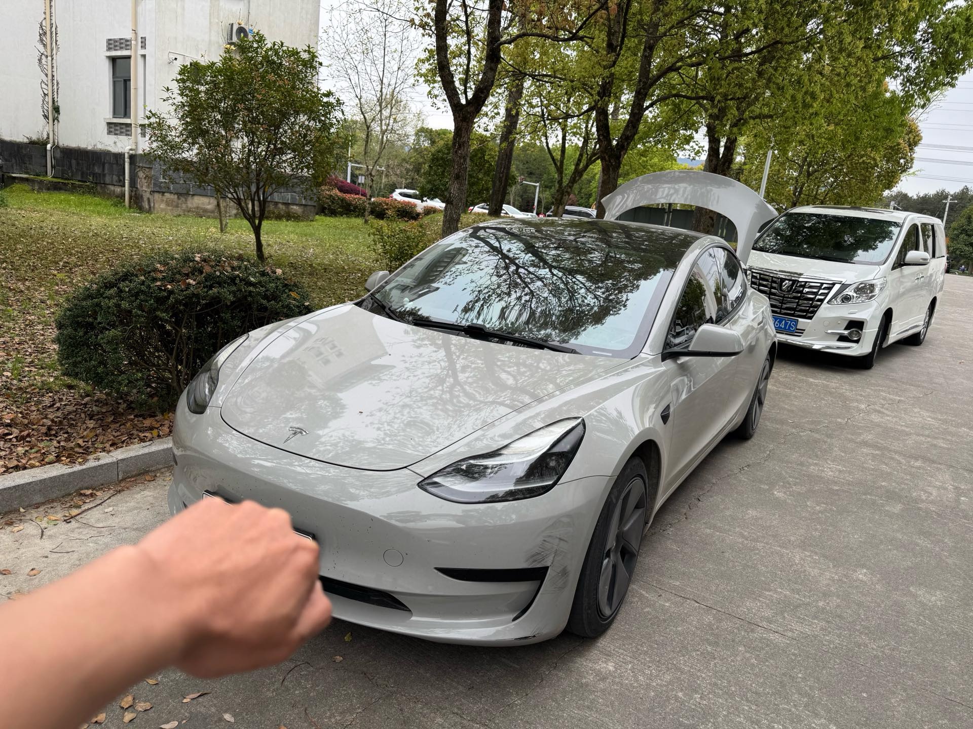 Tesla Model 3 2021 car image 