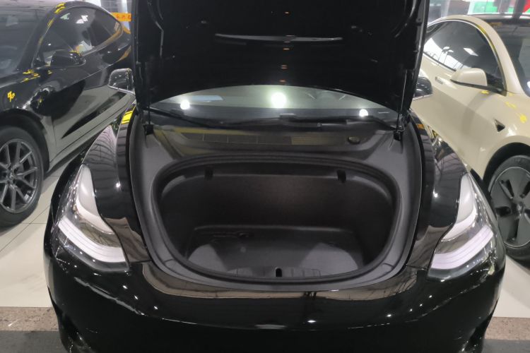 Tesla Model 3 2020 #20 Tesla Model 3 2020 car image #20