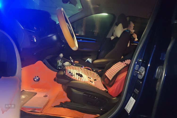 BMW X1 2020 car image #17