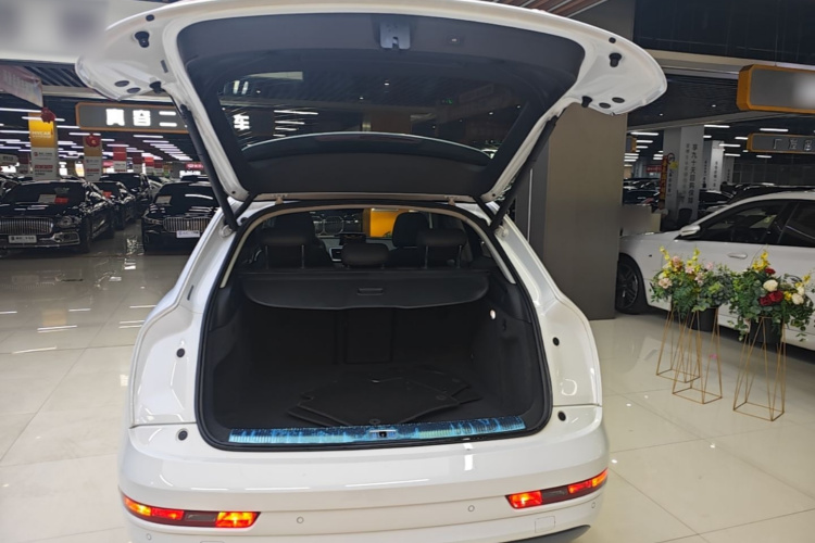 Audi Q3 2018 car image #21
