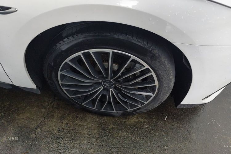 BYD Han 2022 car image #9