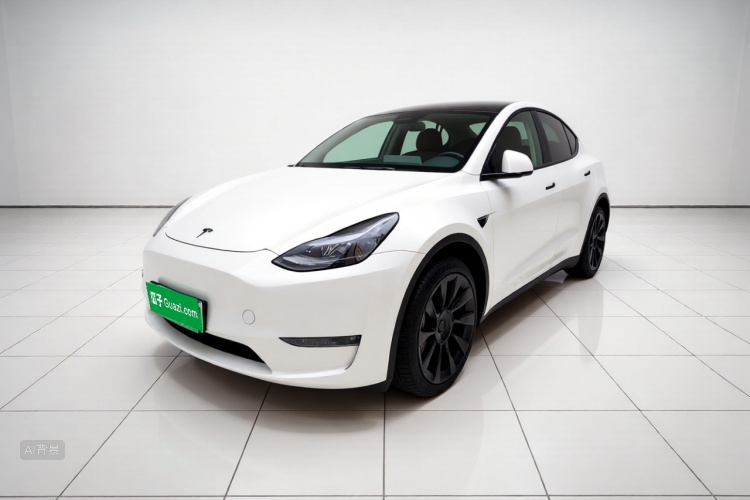 Tesla Model Y 2024 car image #2