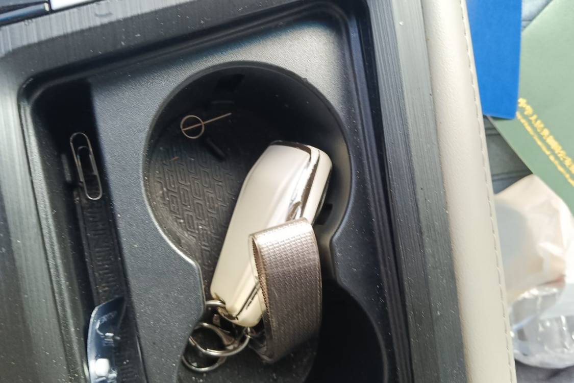 GEELY Binray 2018 imagen de coche #28