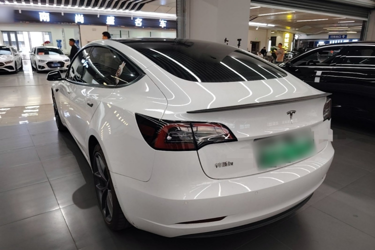 Tesla Model 3 2021 #5 Tesla Model 3 2021 car image #5