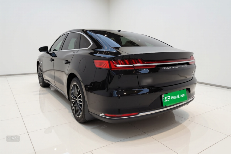 BYD Han 2021 immagine di auto #5