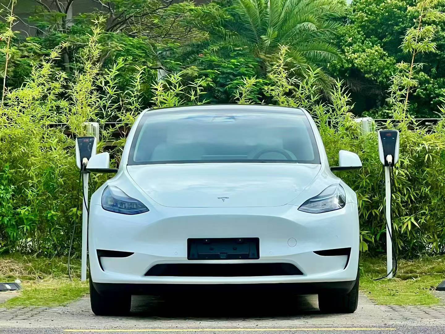 Tesla Model Y 2023 Tesla Model Y 2023 car image