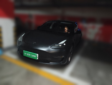 Tesla Model 3 2023 car image 