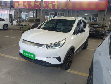 BYD Yuan Pro 2021 car image 