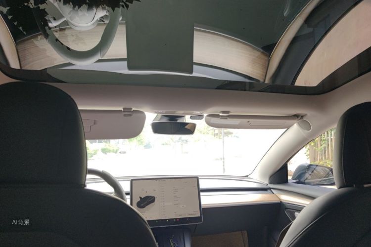 Tesla Model 3 2022 immagine di auto #20