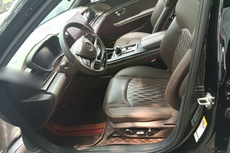 BYD Han 2020 #15 BYD Han 2020 car image #15