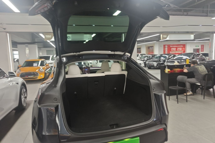 Tesla Model Y 2025 car image #19