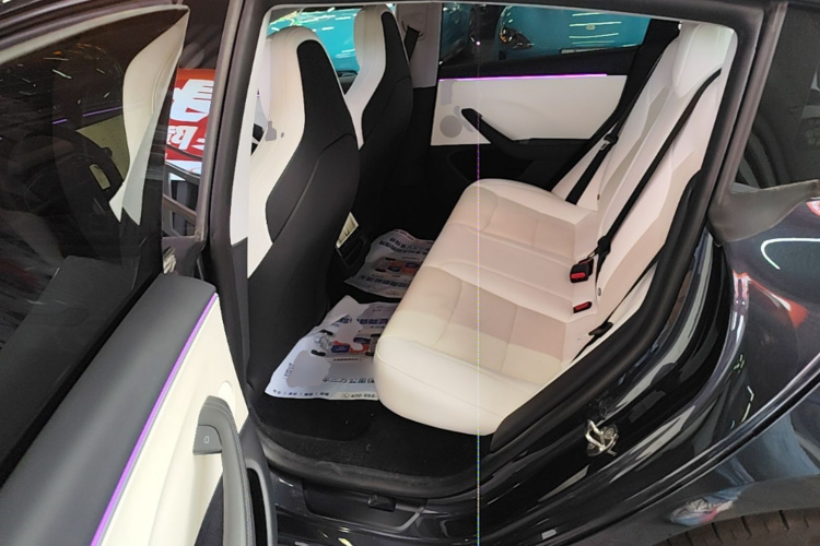 Tesla Model 3 2024 car image #17