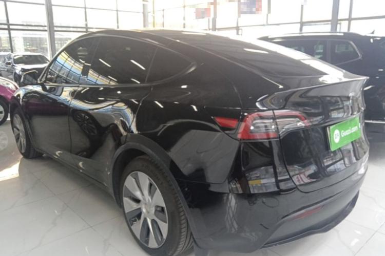 Tesla Model Y 2021 car image #5