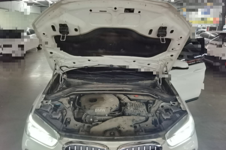 BMW X1 2017 #20 BMW X1 2017 immagine di auto #20
