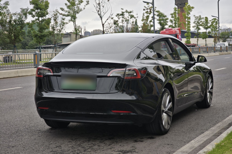 Tesla Model 3 2023 #6 Tesla Model 3 2023 car image #6
