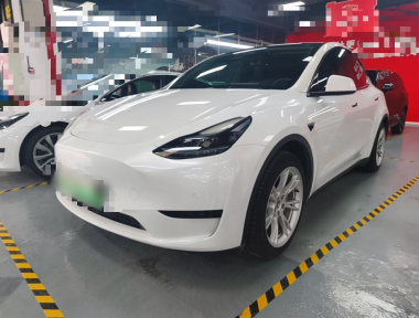 Tesla Model Y 2022 car image 