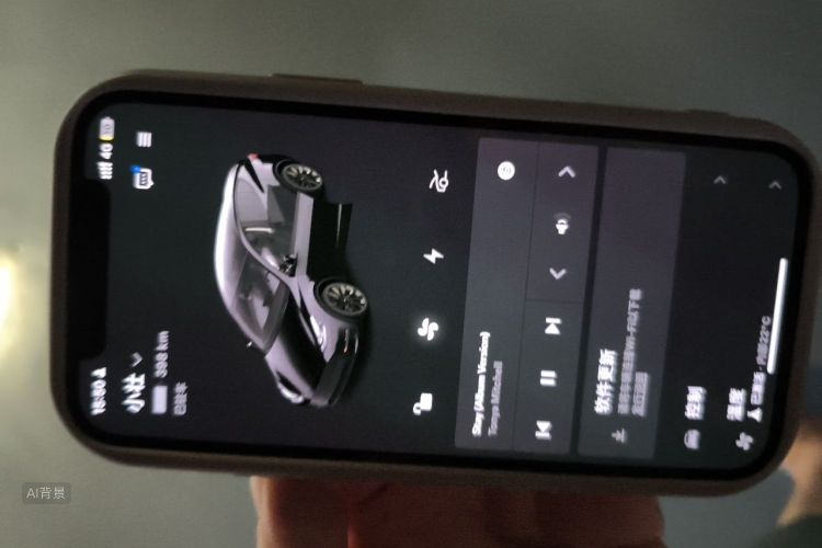 Tesla Model Y 2021 car image #10