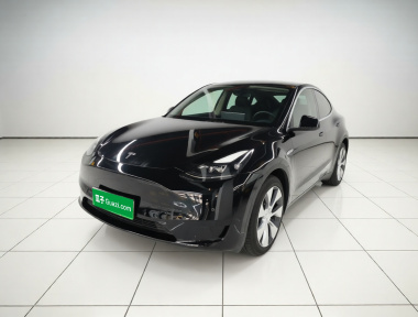 Tesla Model Y 2022 car image 