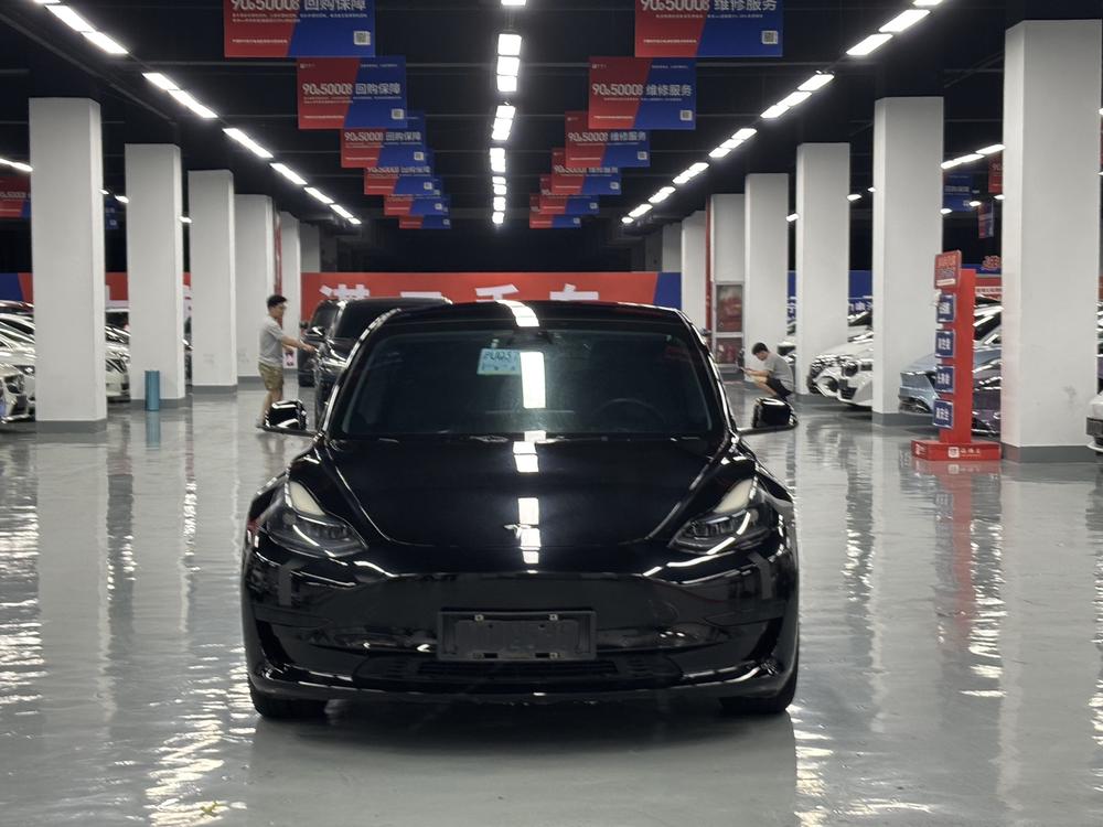 Tesla Model 3 2023 #2 Tesla Model 3 2023 car image #2