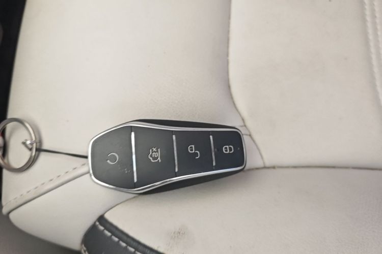 BYD Yuan Pro 2022 imagem de carro #9