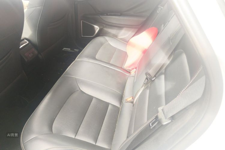 GEELY Emgrand GS 2019 car image #19