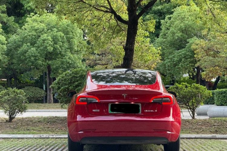 Tesla Model 3 2021 #7 Tesla Model 3 2021 car image #7