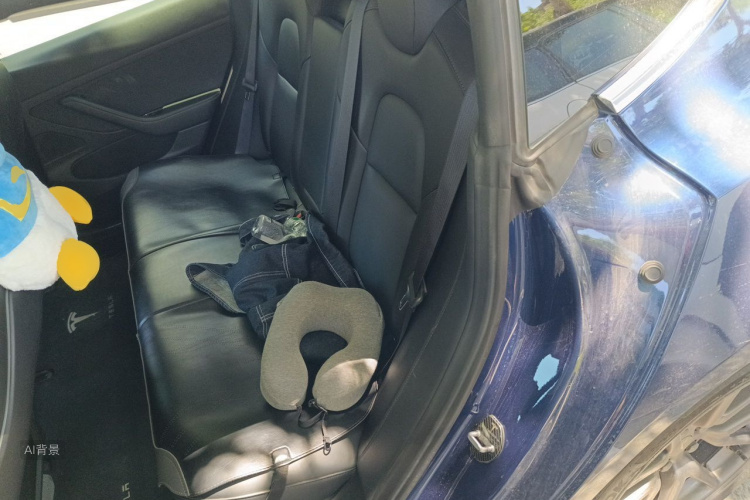 Tesla Model 3 2020 #19 Tesla Model 3 2020 car image #19