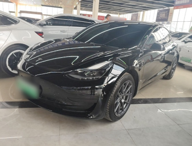 Tesla Model 3 2021 car image 