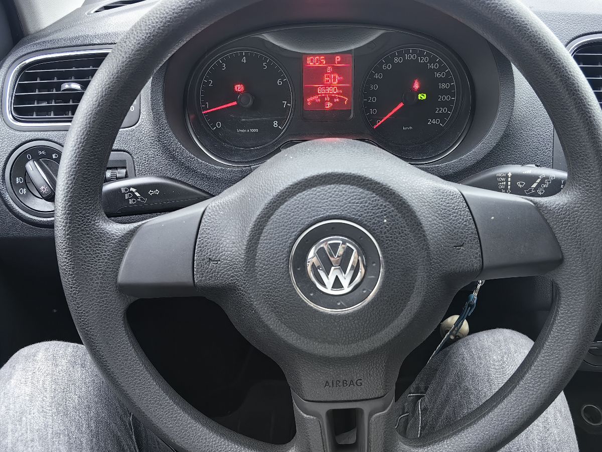 Volkswagen Polo 2014 car image #15