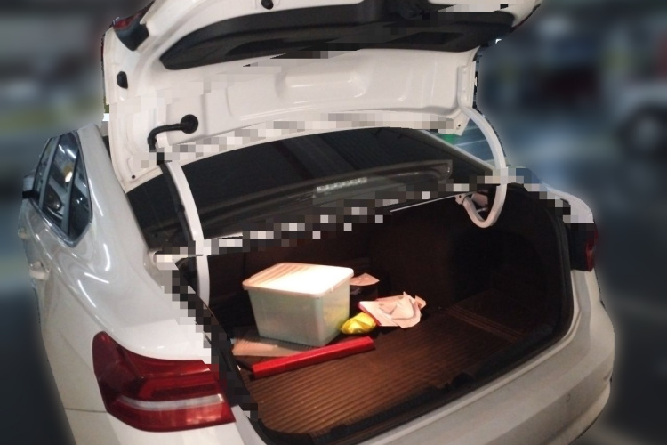 Volkswagen Lavida 2020 car image #17