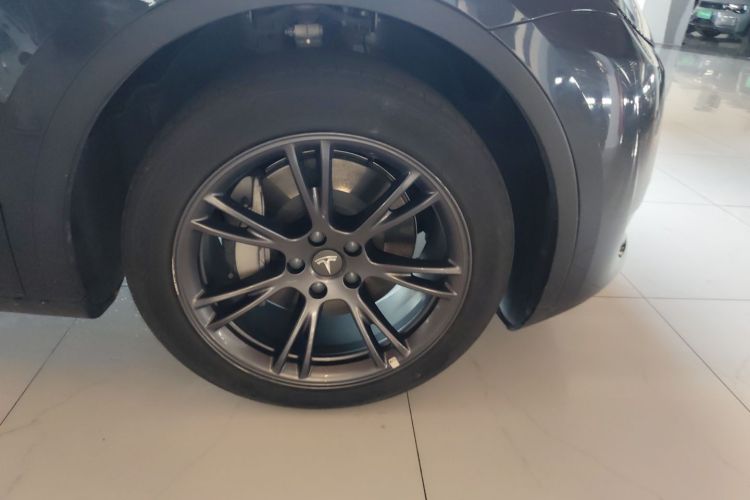 Tesla Model Y 2024 car image #6