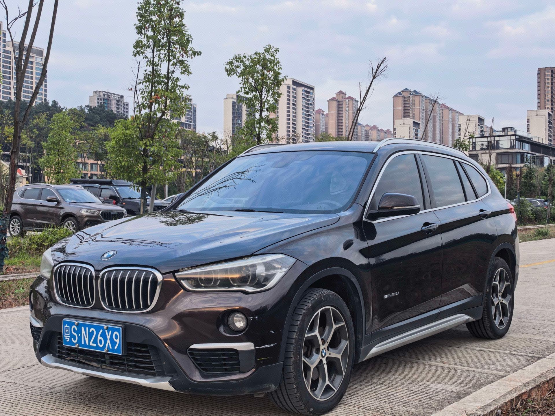 BMW X1 2018 imagen de coche 