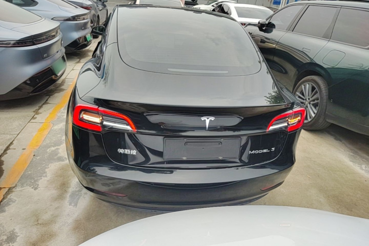 Tesla Model 3 2021 #6 Tesla Model 3 2021 car image #6