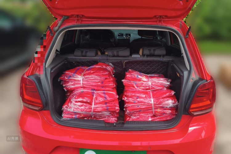 Volkswagen Polo 2016 car image #21
