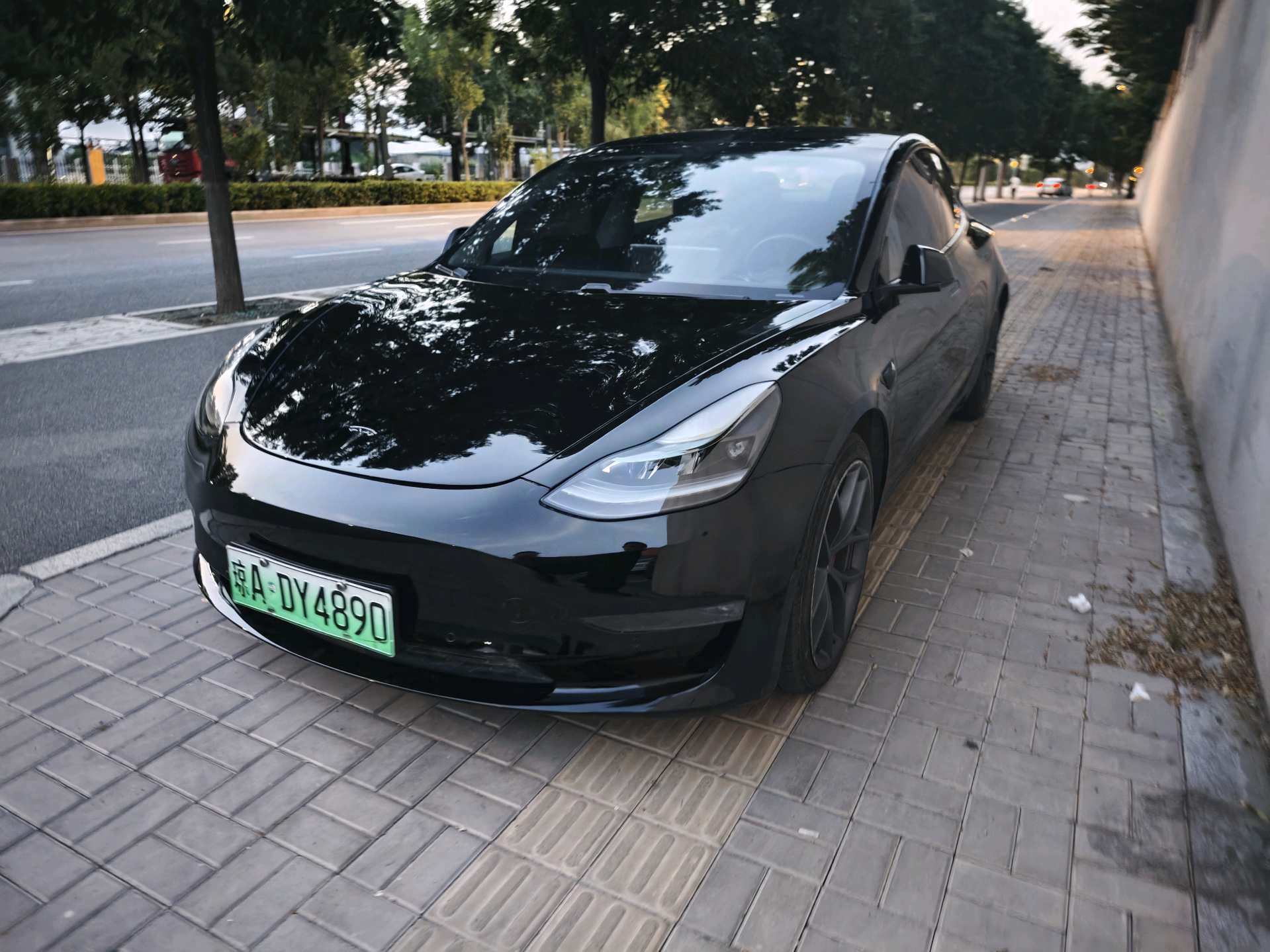 Tesla Model 3 2021 Tesla Model 3 2021 car image