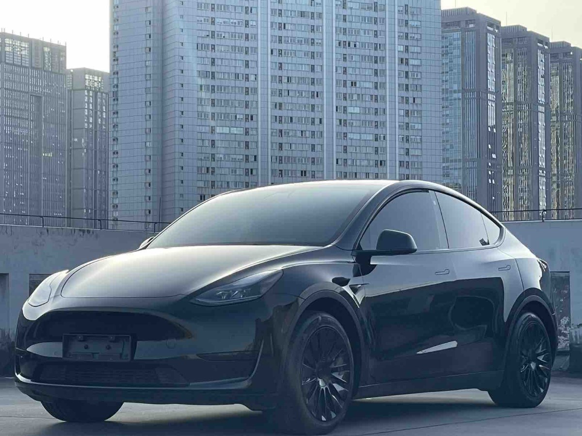 Tesla Model Y 2023 car image 