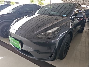 Tesla Model Y 2024 car image 