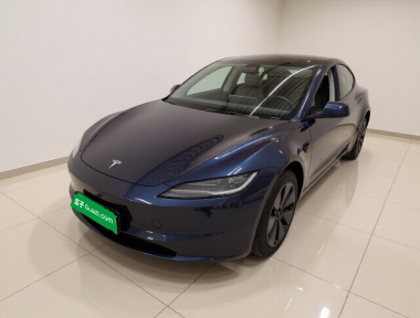 Tesla Model 3 2024 Tesla Model 3 2024 car image