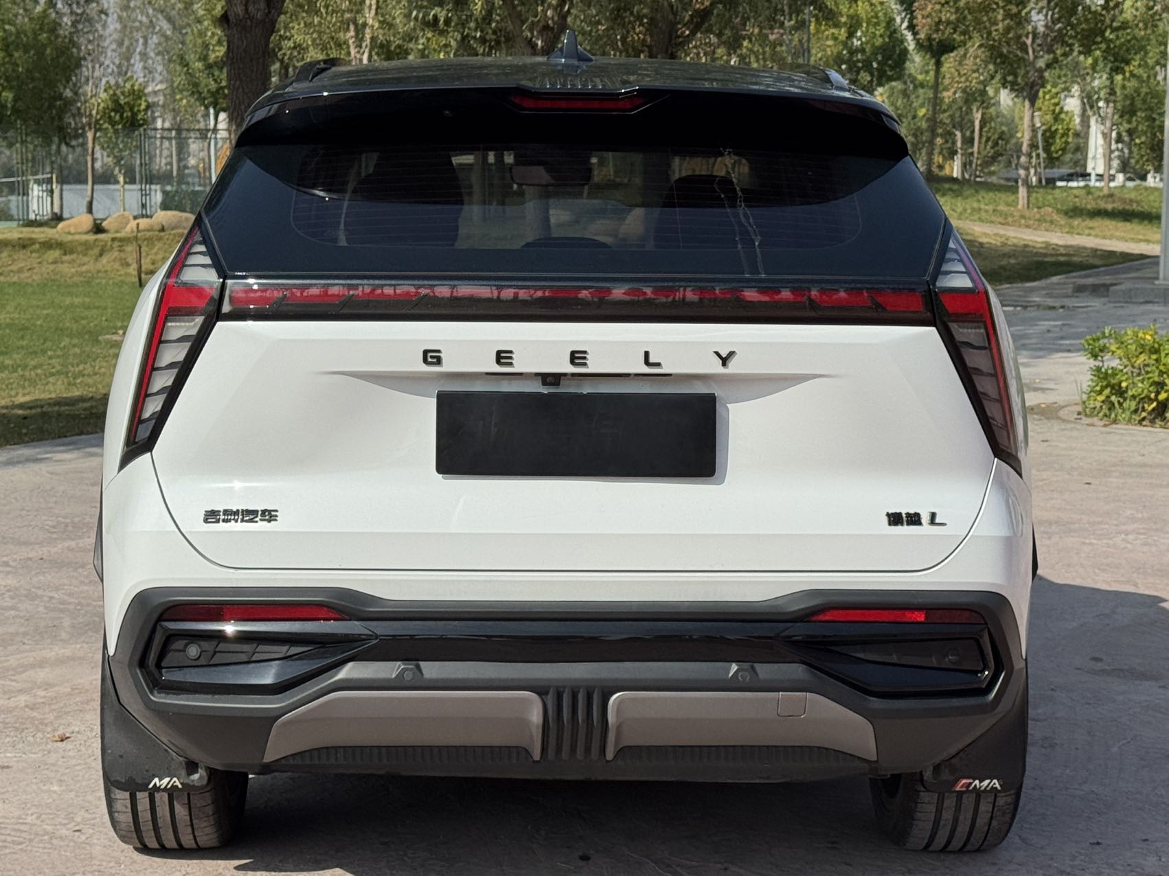 GEELY Boyue L 2023 #5 GEELY Boyue L 2023 صورة سيارة #5