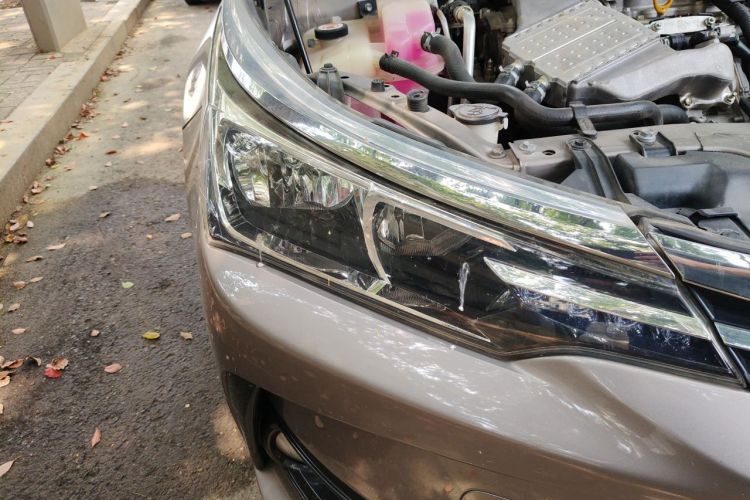 Toyota Corolla 2018 car image #8
